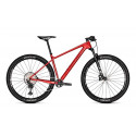 Bicicleta Focus Raven Carbon 8.7 tamanho S (42)